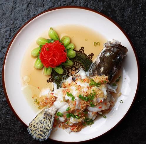 炒锅豆腐炖鱼在线视频