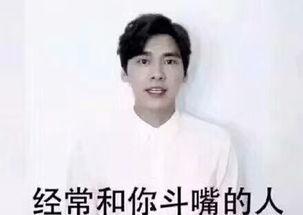 枫晚林在线视频,沉浸式在线视频，带你领略秋日林间美景