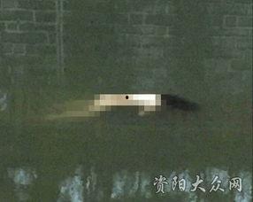 裸体女尸在线视频