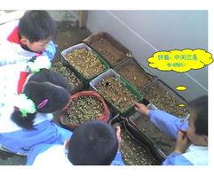 豆芽同学在线视频,揭秘成长之路