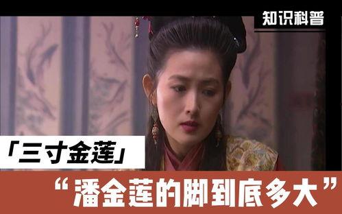 番金莲在线视频,激情四溢的在线视频盛宴