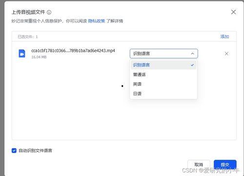 在线视频播放中文字,字里行间的精彩瞬间