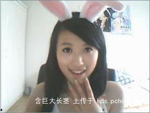 紫竹铃系列在线视频,探寻神秘古琴之音的奇幻旅程  第2张