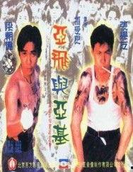 阿飞阿基在线视频,穿越时空的奇幻冒险之旅  第2张