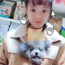 梦菲在线视频,探索虚拟世界的无限魅力  第3张