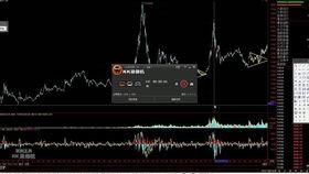 股票在线视频分析,洞悉市场脉搏，揭秘投资奥秘  第1张
