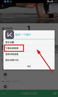 1240最新在线视频,揭秘科技前沿，探索未知领域
